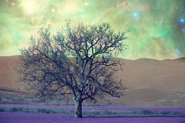 Obraz na płótnie Canvas alien tree landscape