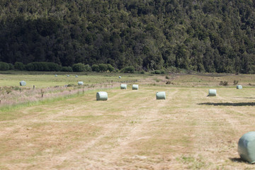 Haybails in valley field