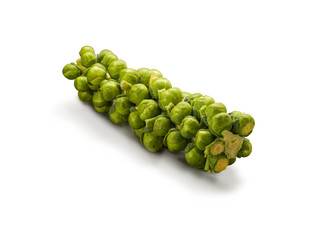 Organic Brussel Sprout Stalk