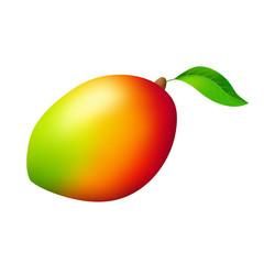 Mango red yellow green fruit isolated illustration vector