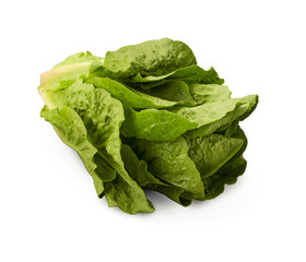 Organic Lettuce Cos