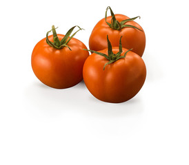 Organic Large Tomato