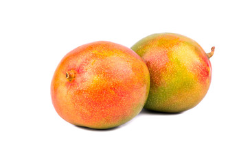 Two mango fruit