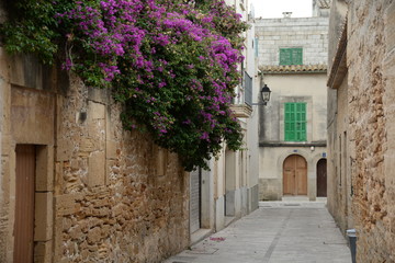 Fototapeta na wymiar Gasse in Alcudia, Mallorca