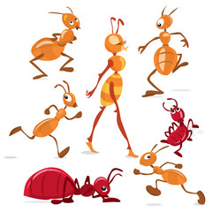 Naklejka premium All in one ant colony