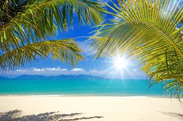 Fotobehang Karibischer Traumstrand mit Palmen :) © doris oberfrank-list