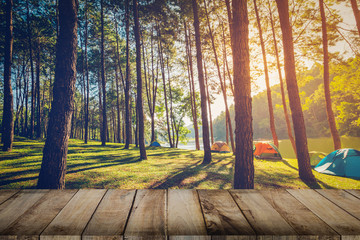 Pine tree forest and wood plank floor with sunrise. Vintage styl