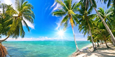Fototapeten Karibischer Traumstrand mit Palmen :) © doris oberfrank-list