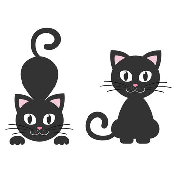cat black set