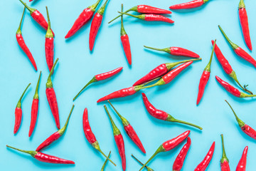 Obraz na płótnie Canvas Vibrant red chili on blue background