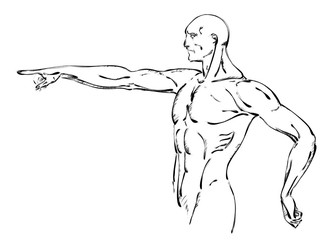 Sketch Vector Illustration:.bodybuilder. strong muscular man. at