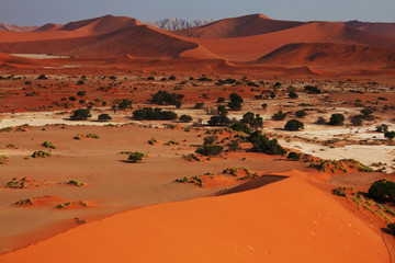 Namib desert