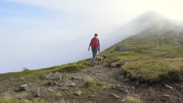 Hiker walking their dog up the ridge through the cloud towards Nethermost Pike and below Helvellyn in the English Lake District.   