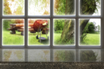 Naklejka premium window 