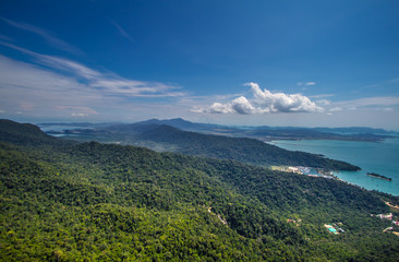 Green tropical forest