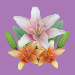 Fototapeta na wymiar bouquet flowers of lilies with buds