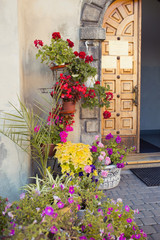 Flowers in pots near monastery.  Lviv, Ukraine.