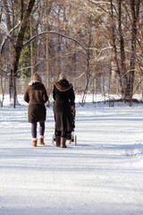 Fototapeta na wymiar München im Englischen Garten: Frauen mit Kind im Kinderwagen beim winterlichen Spaziergang 