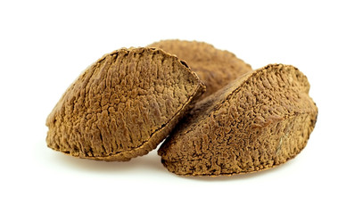 Whole brazil nuts in shell against white