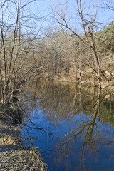 Obraz na płótnie Canvas Tree reflection at Brushy Creek Regional Trail