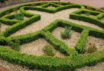 Detail of formal style garden with beautifully pruned hedges