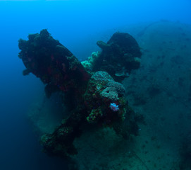 Stoped forewer. Huge propeller of the shipwreck in Micronesia become  home for many fishes and corals
