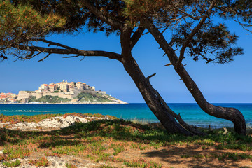 Calvi Citadelle, Corsica, France