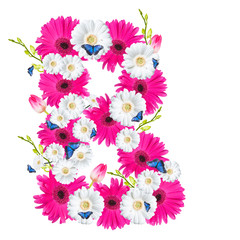 Alphabet B, flower isolated on white background. Gerber, tulips and butterfly 