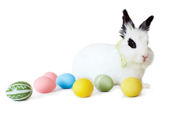 Fluffy white rabbit with Easter eggs isolated on white backgroun