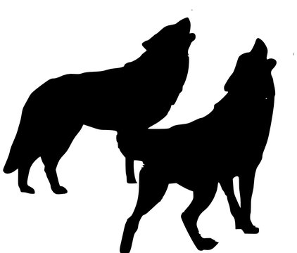 two howling wolves 