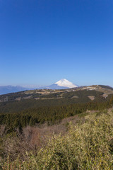 Fototapeta premium 箱根峠付近から見た富士山が映える四季の自然景観