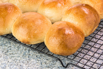 Fresh baked dinner rolls.