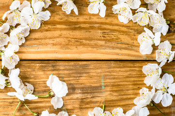 Spring flowers on old wood background