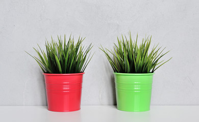 Two grass plants in red pots