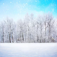 Acrylic prints Winter Winter scene