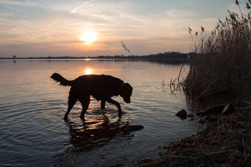 abends am See