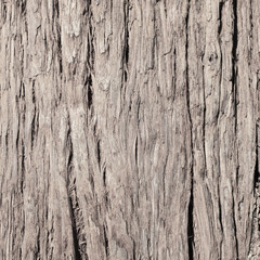 Wooden surface