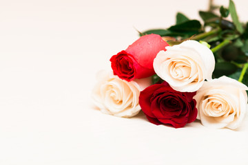 Red and white roses on a light wooden background. Women' s day,