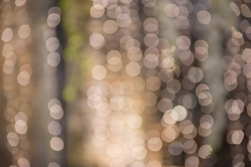 Bokeh abstract light blury background
