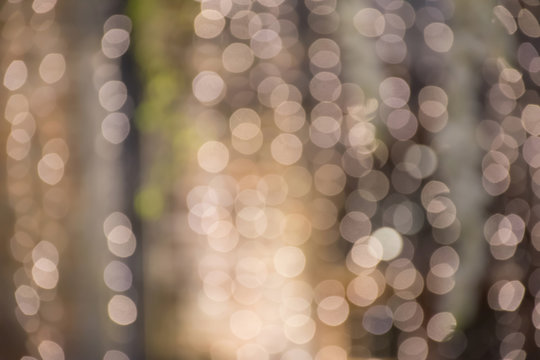 Bokeh abstract light blury background