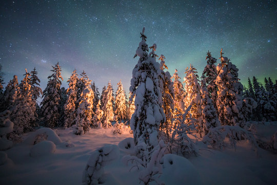 Fototapeta Ognisko w lesie w Laponii