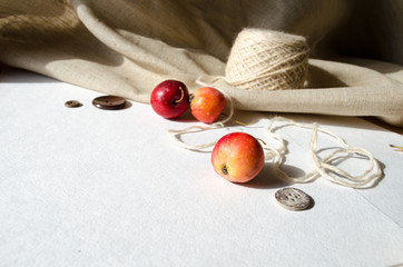 paradise apples and natural yarns (background for a card)