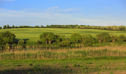Ukrainian landscape Ukrainian field of village. Region of Kyiv.