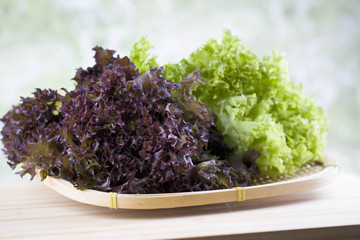 Green and red coral salads