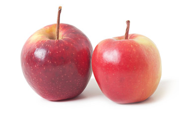 Apple isolated on white background