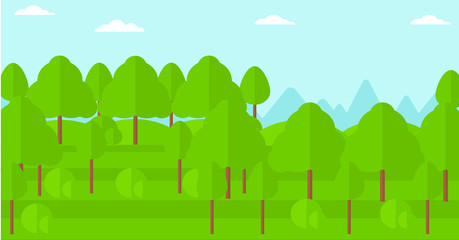 Background of green forest.