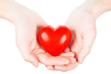 small red heart in hands. health concept
