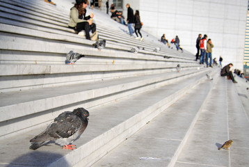 PARIS, FRANCE -17 DECEMBER 2011: Doves and people on the stairs of the Grande Arche in La Defense district in Paris