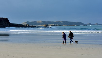 Un couple avec un chien se promènent sur une plage de Bretagne à marée basse en hiver
