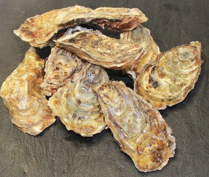 hu&icirc;tres